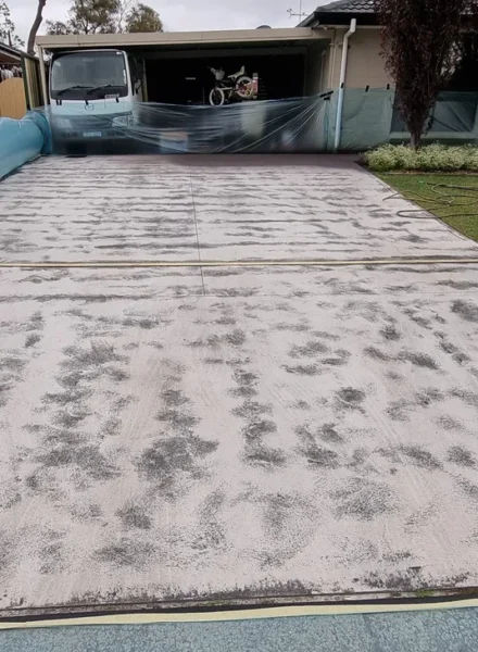 rs=w_730,h_730,cg_true (1)